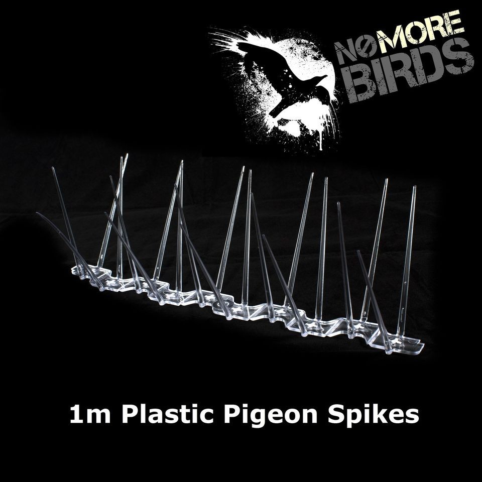 Plastic Pigeon Spikes/Bird Spikes   10yr Guarantee