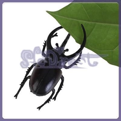 Newly listed Kids Play Learn Oryctes Eupatorus Beetles Model Emulation 