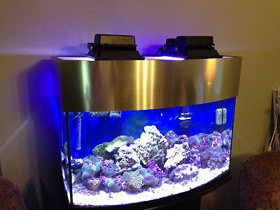 aquarium led lights in Lighting