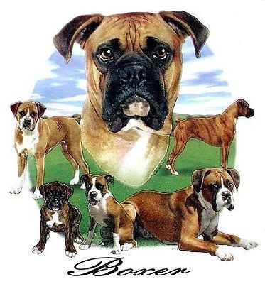 BOXER DOG TANK TOP OR T SHIRT IN COLORS WS710