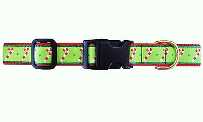 Pet Supplies  Dog Supplies  Collars & Tags  Nylon Collars