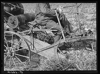 Section of a potato digger in action (front) on a farm near Caribou 