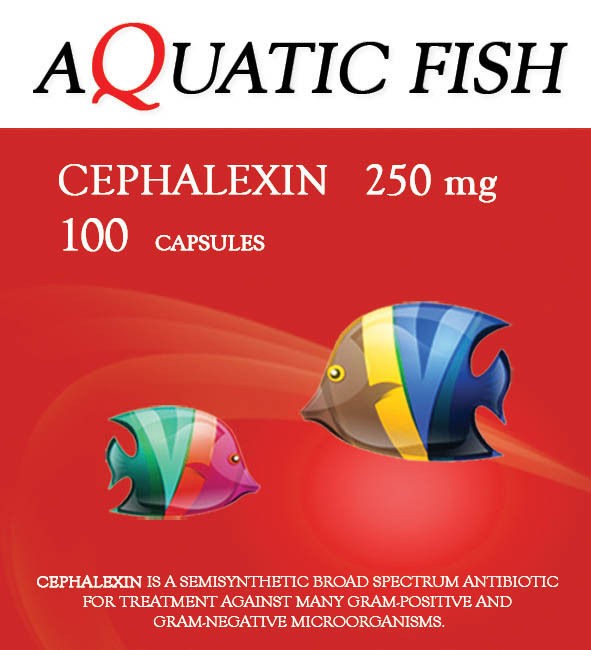 CEPHALEXIN 250mg 100 Capsules AQUATIC FISH ANTIBIOTIC