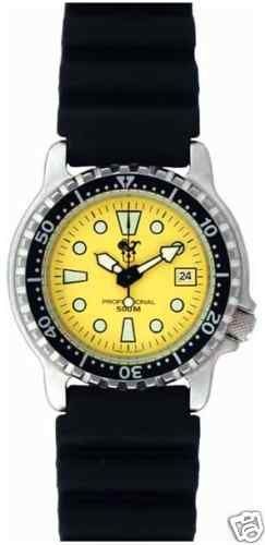 Poseidon Divers Watch, 2 years warranty