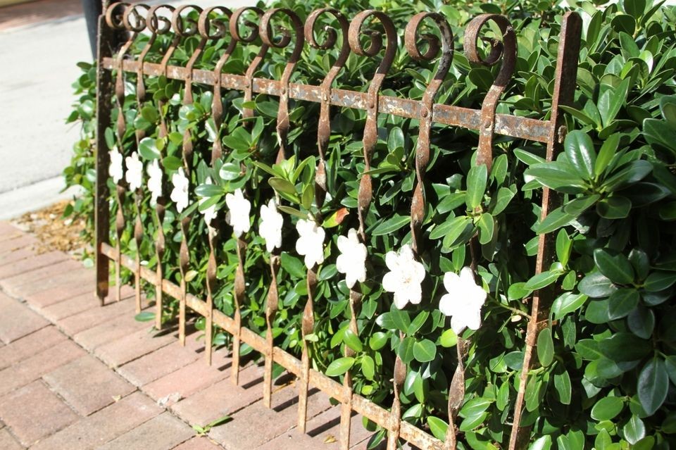 Gorgeous and Unique Antique Philadelphia Iron Architectura​l Fence