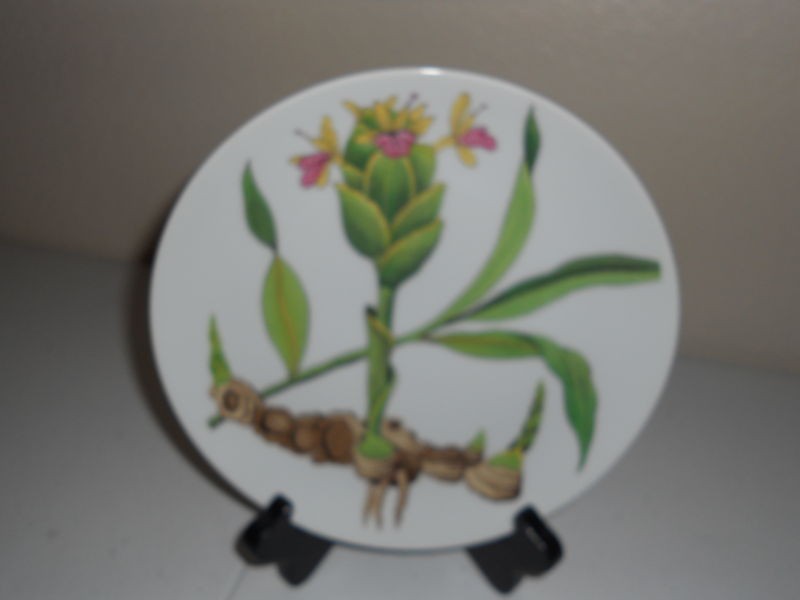 HORCHOW SALAD PLATE FLOWER COMINF OUT OF EARTH VGC