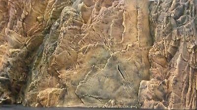 AQUATERRA Naturalistic 3D Aquarium Background Canyon Rock 48x24