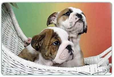 Tempered Glass Cutting Board   English Bulldog Pups (Basket)