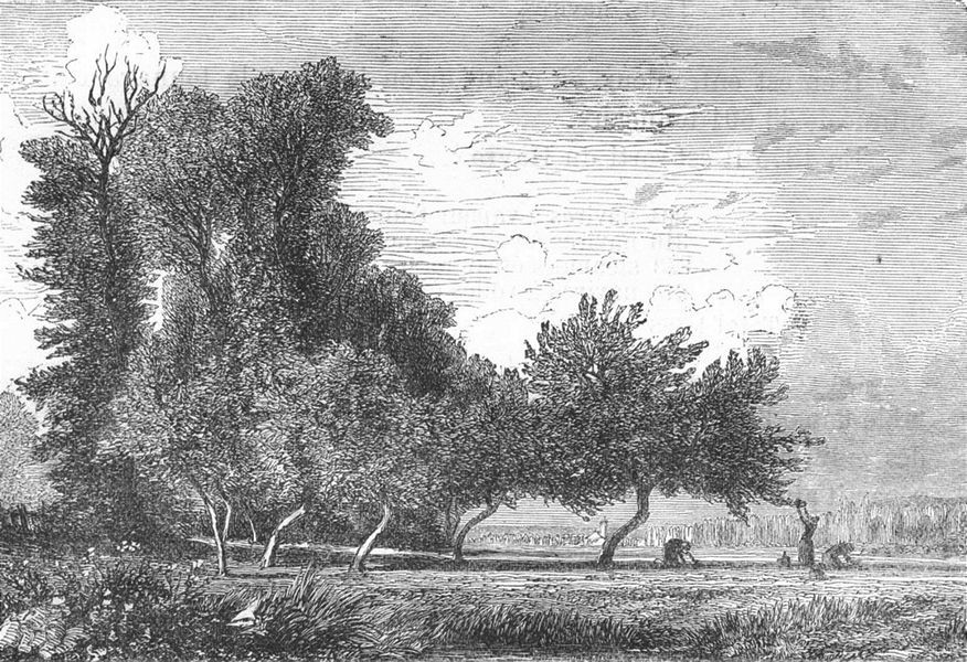   ​ Le Havre Paysage aux environs de Gournay, antique print, 1880