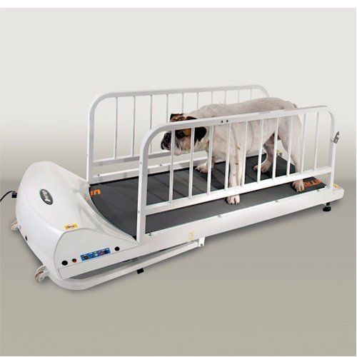 GoPet PetRun PR720E Dog Treadmill   Very Large Dogs