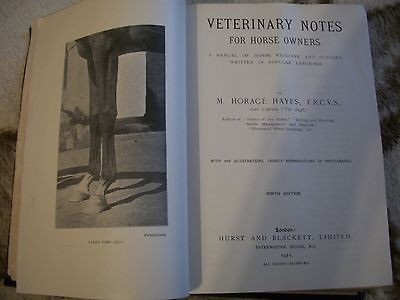 VETERINARY NOTES FOR HORSE OWNERS