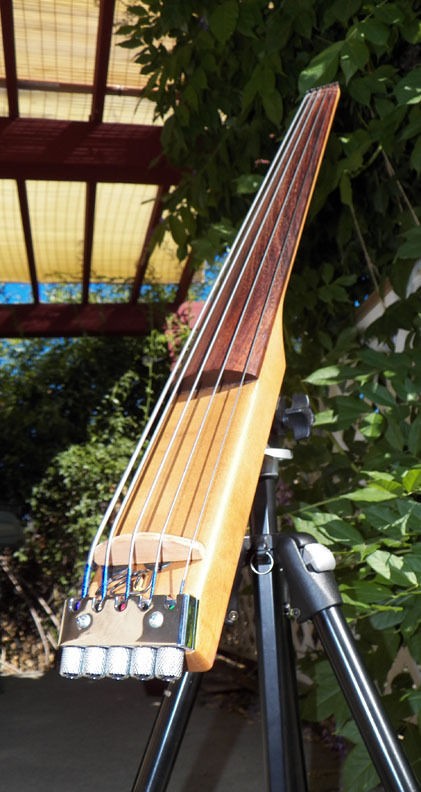 electric upright bass in String