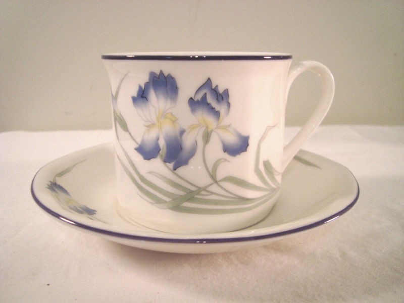 Royal Doulton China Minerva Iris Cup & Saucer