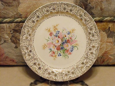 CRONIN CHINA Minerva Ohio DINNER PLATE Daisies