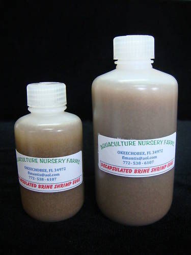 NEW*** READY To Hatch FISH FOOD BRINE SHRIMP EGGS SEAHORSE Rotifers 