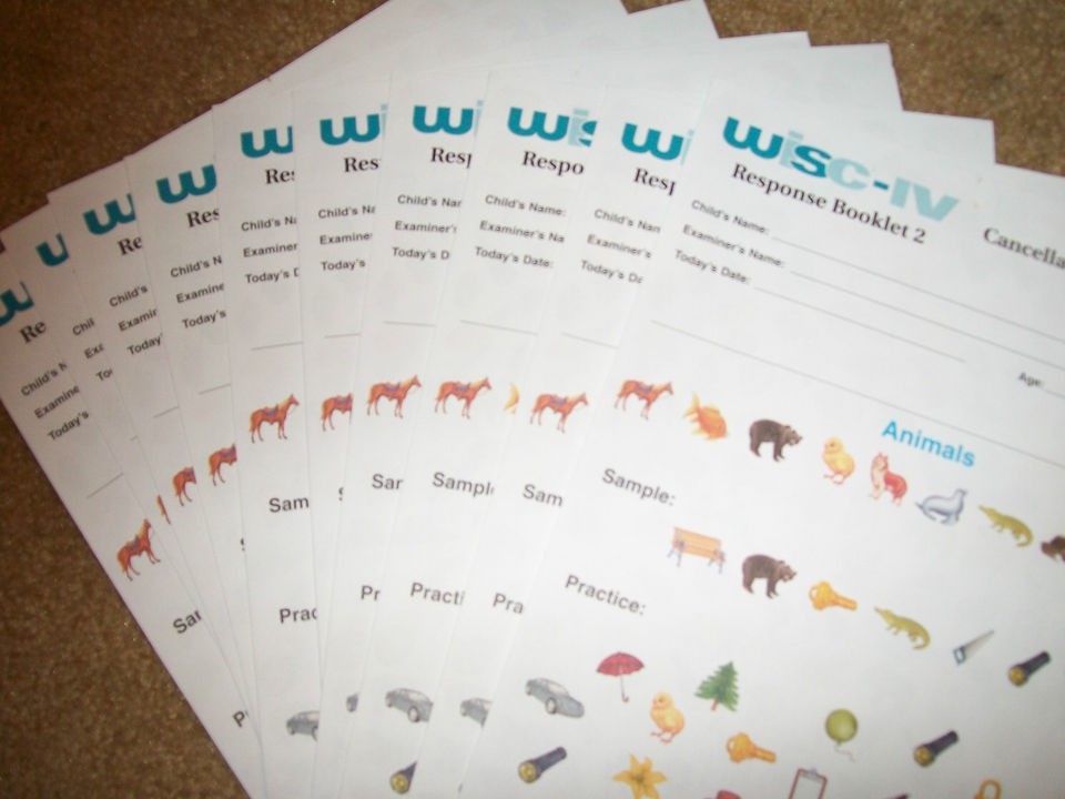 Wechsler Intelligence IQ Test Forms WISC IV 4