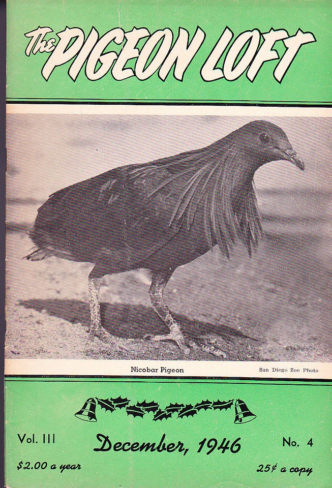   DEC 1946~DOM FLTS~PIGEON PHOTOGRAPHY~CA​NAL ZONE~IRIDESCEN​T NECKS