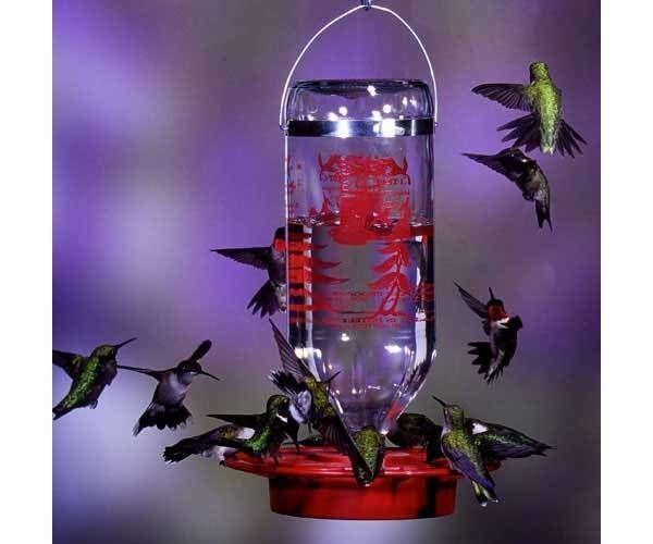   Outdoor Living  Bird & Wildlife Accessories  Nectar Feeders