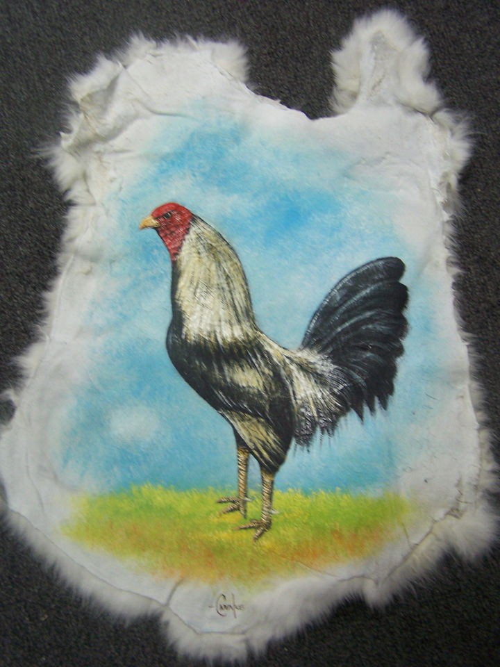   ROOSTER,GALLOS DE PELEA ON RABBIT SKIN,COLORADO,​GIRO,ROUND HEAD