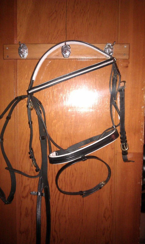 kieffer bridle in Tack English