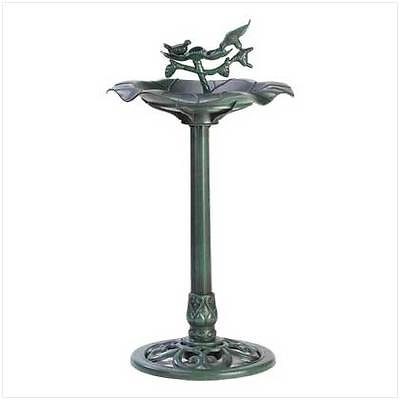 cage bird bath