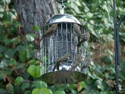 SQUIRREL PROOF TRASH BIRD STOPPER WILD BIRD FEEDER