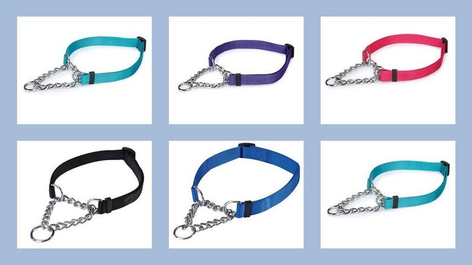   Gear Martingale Nylon Dog Collar Chain 6 Colors All Sizes Choke