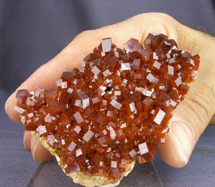 BRILLIANT WORLDCLASS FIRE RED VANADINITE CRYSTALS ON MATRIX, MIBLADEN 