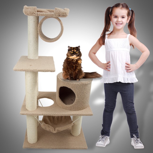 cat condo