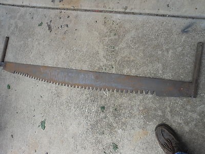 Vintage 2 man cross cut saw antique tool primitive BIG