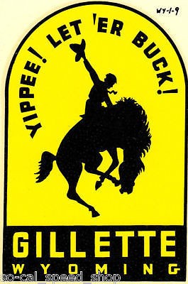 VTG TRAVEL WATER DECAL WYOMING AUTO RAT HOT ROD HORSE COWBOY OLD 