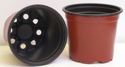   OF 100 4 1/4 4.25 Inch PLASTIC FLOWER NURSERY POTS Wholesale price