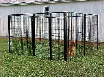 DOG KENNEL,DOG FENCING, LARGE,OUTDOOR,DOG RUNS 10x10x6H