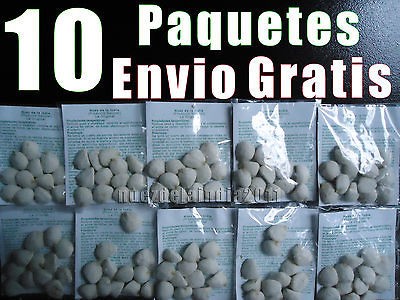 NUEZ DE LA INDIA 10 Paquetes El Mejor Precio, Calidad y Servico 100% 