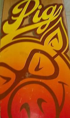   CRUISER LONGBOARD COMPLETE SLIGHTLY USED SKATEBOARD POWELL SANTA CRUZ