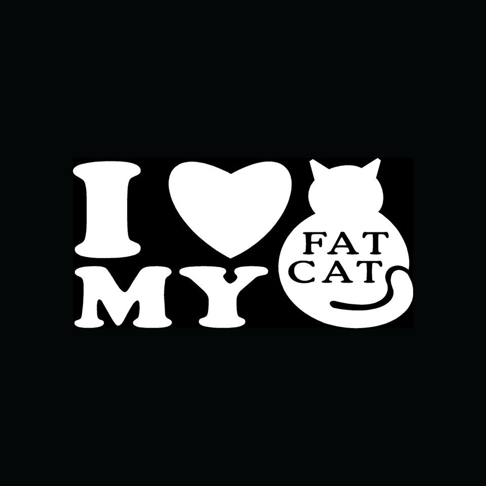   No Fat Chicks Car Will Rub Sticker Die Cut Decal Self Adhesive Vinyl