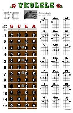 Ukulele Fretboard Chord Chart Poster Ukelele Uke