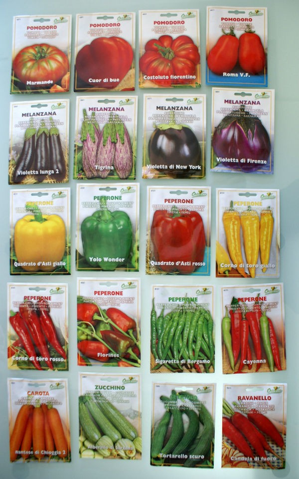 Vegetable Seeds 30 VARIETIES Pepper Tomato Eggplant Zucchini Squash 