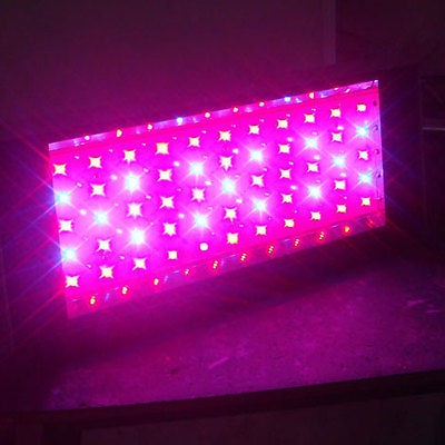 New 300w LED Grow Light For Grow Green house Hydroponic USA Warranty 