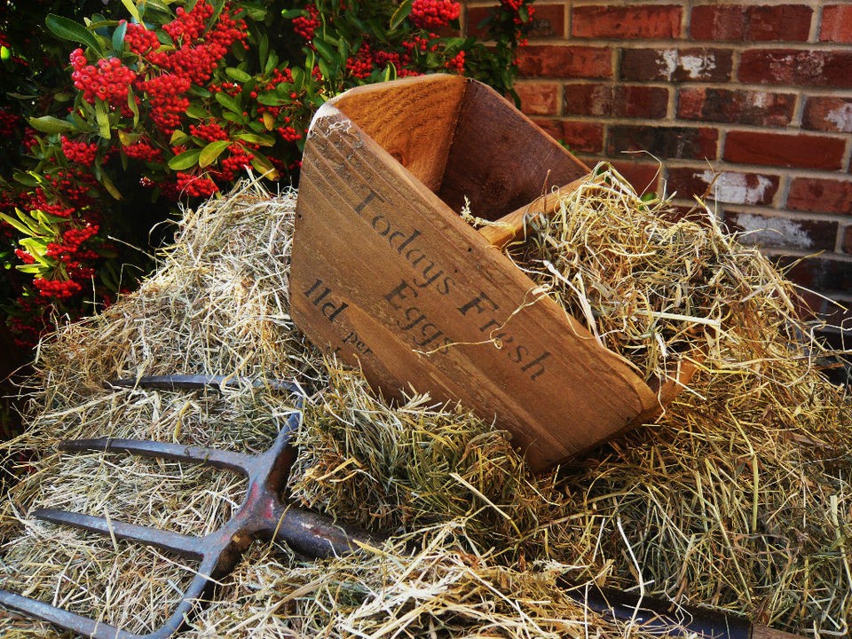 NEW) Farmhouse Egg Basket ~ box / tray / holder /kitchen storage 