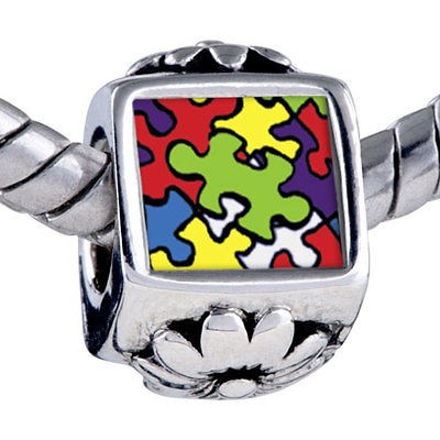 PUGSTER WORD AUTISM CHARM PHOTO BEAD BRACELET O23