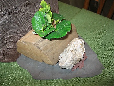 Driftwood Log Aquarium Terrarium Ornament   Taxidermy Mount   Garden 