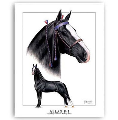   WALKER walking HORSE ART   ALLAN F 1   TWH portrait painting WOW