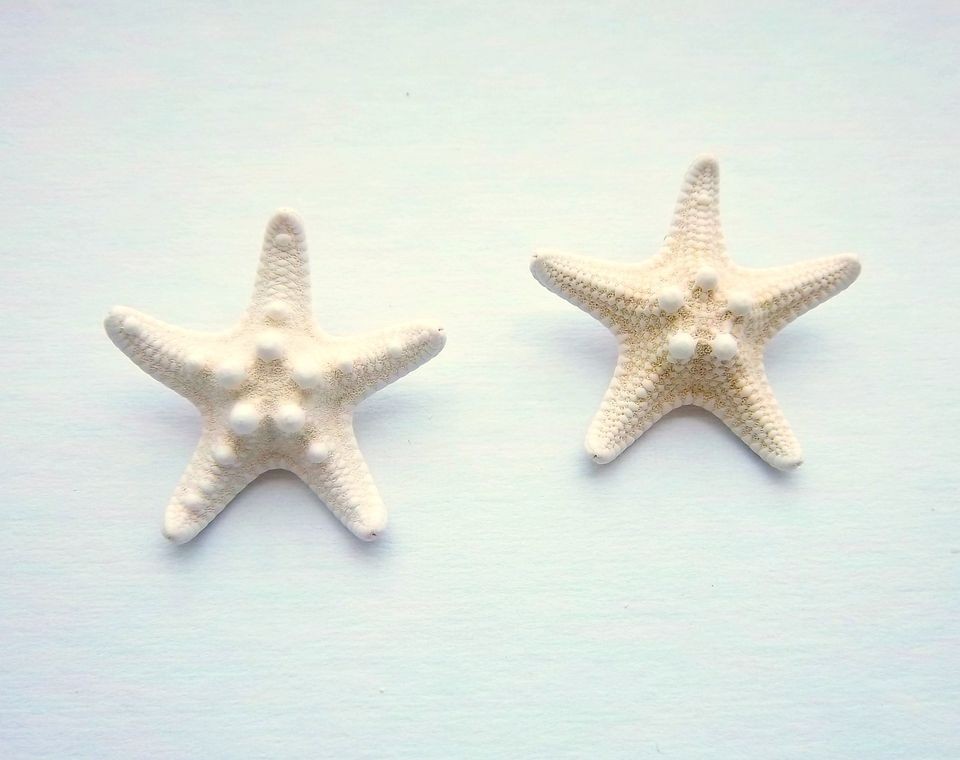 Handmade White Knobby Starfish Barrette Beach Wedding Surfer Hair Clip 