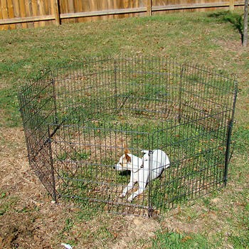 rabbit play pen in Dog Supplies