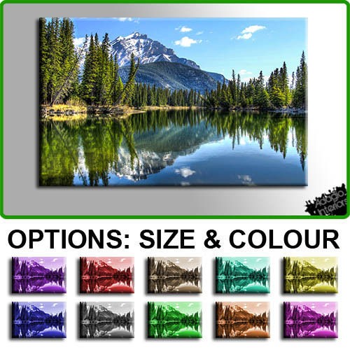 PREMIUM NEW   Cascade Mountain Canada   10 COLOURS / SIZES