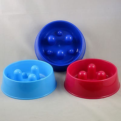 Pet Slow Feed Bowl Feeder Dog Cat Bowl CHEW EAT SLOW