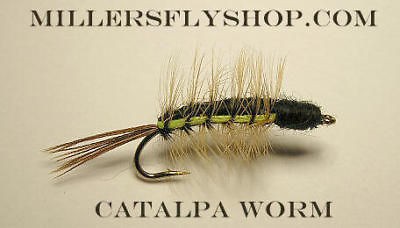 Catalpa Worm Black/Chartreu​se #10  Trout  Bluegill