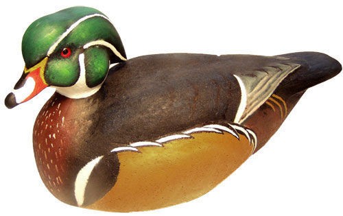 Wooden Magnum Gunning Wood Duck Decoy Hen or Drake