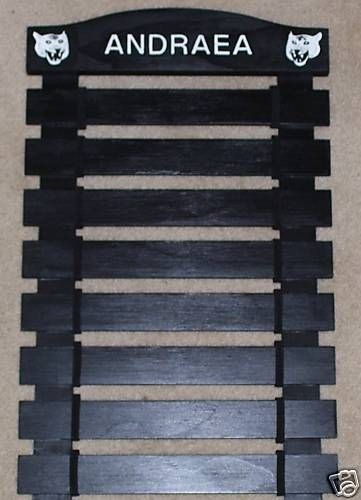 CUSTOM BLACK PAINTED KARATE BELT DISPLAY RACK 11 SLATS